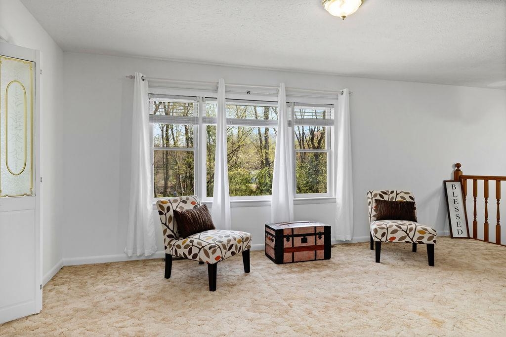 2051 Mt Torrey Road Lyndhurst, VA 22952 - Photo 22 of 67 a living room with furniture and a window