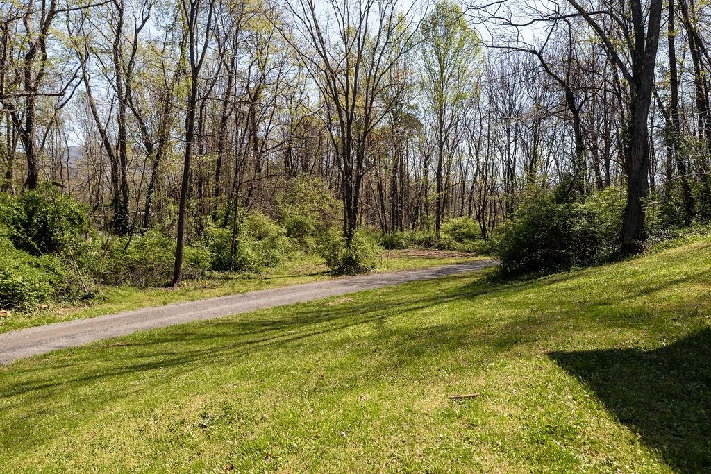 2051 Mt Torrey Road Lyndhurst, VA 22952 - Photo 4 of 67 Private Lane