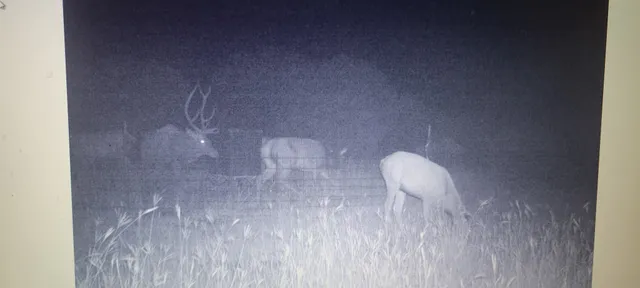 a view of a big room