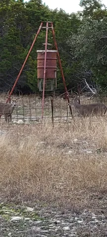 a view of a lake from a yard