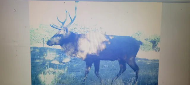 a view of a yard with a house