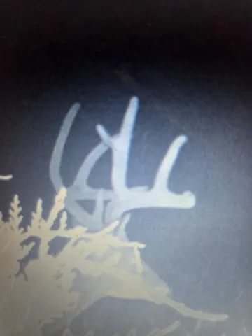 a backyard of a house with a yard and a fountain