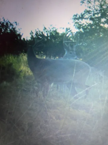 $890,000 | 241 Sd 23200, Rocksprings, TX 78880