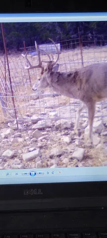 $890,000 | 241 Sd 23200, Rocksprings, TX 78880