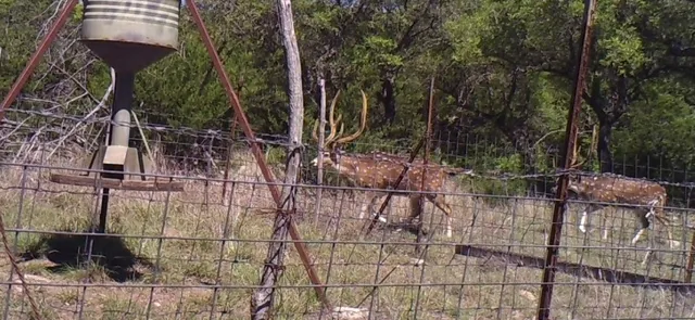 $890,000 | 241 Sd 23200, Rocksprings, TX 78880