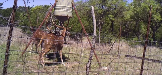 $890,000 | 241 Sd 23200, Rocksprings, TX 78880