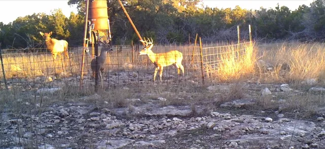 $890,000 | 241 Sd 23200, Rocksprings, TX 78880