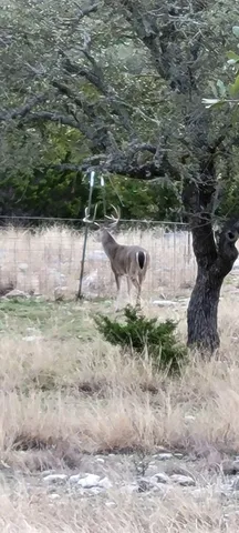 $890,000 | 241 Sd 23200, Rocksprings, TX 78880