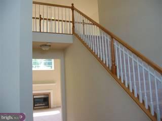72 Harry Avenue Reading, PA 19607 - Photo 5 of 6