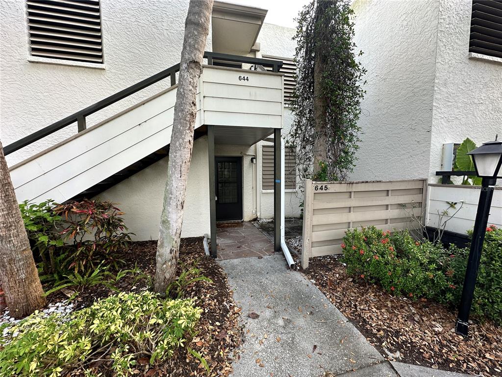 a view of a backyard with plants