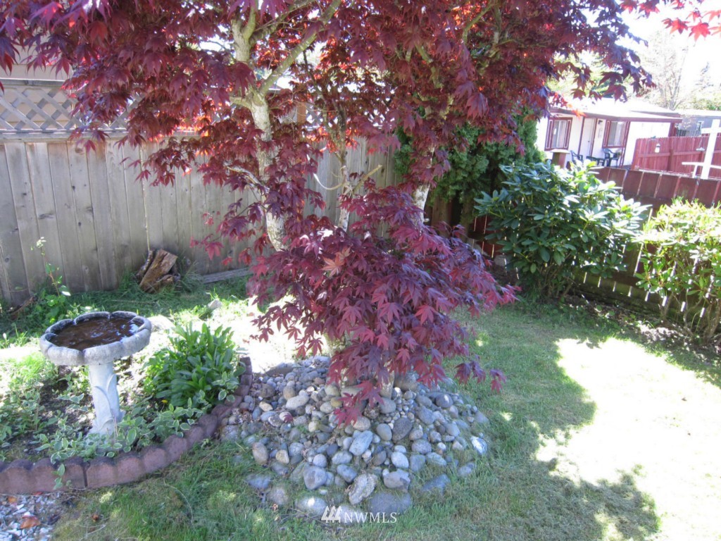 375 Union Avenue Southeast, Unit 116 Renton, WA 98059 - Photo 18 of 21 Gallery Image 18