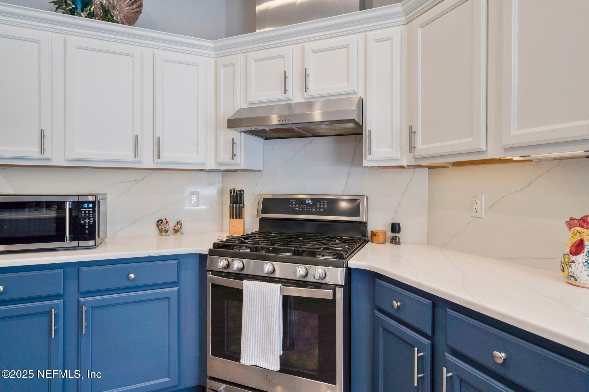 2374 Eagle Harbor Parkway Orange Park, FL 32003 - Photo 24 of 65 36-web-or-mls-DSC07721