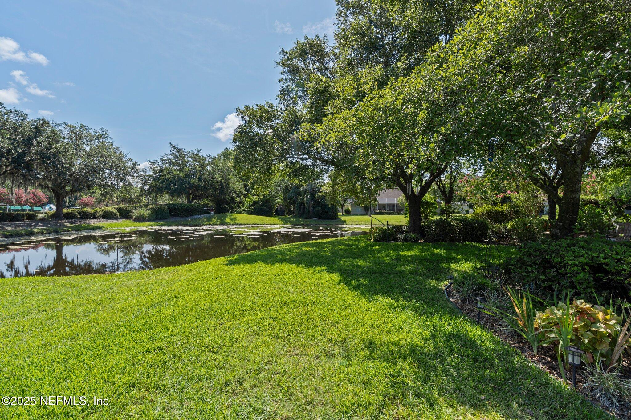 2374 Eagle Harbor Parkway Orange Park, FL 32003 - Photo 48 of 65 55-web-or-mls-DSC07838