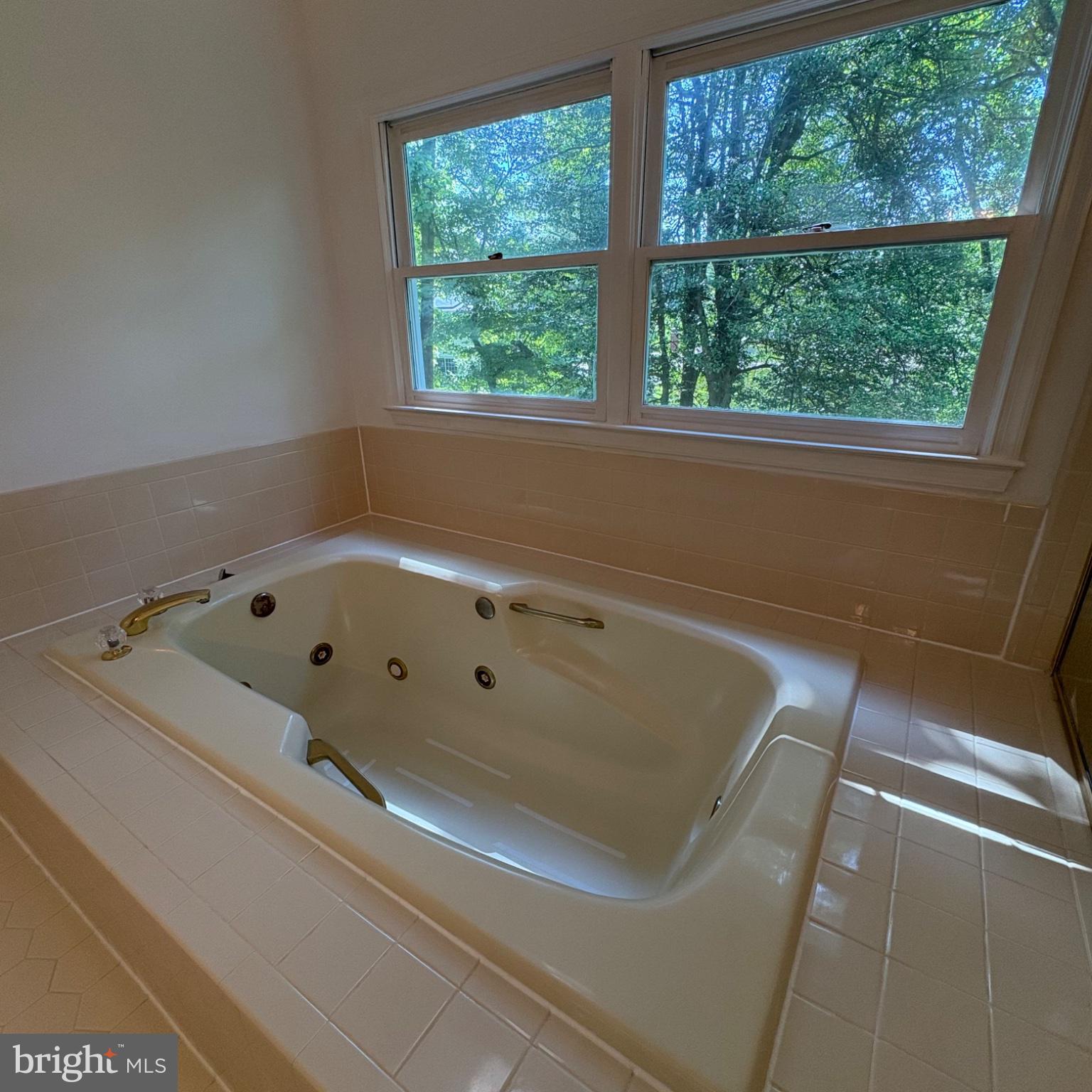 3502 Holly Road Annandale, VA 22003 - Photo 47 of 57 a bath tub sitting in a bathroom next to a window