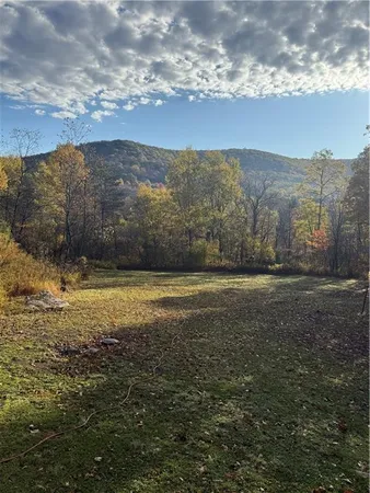 a view of outdoor space and mountain view