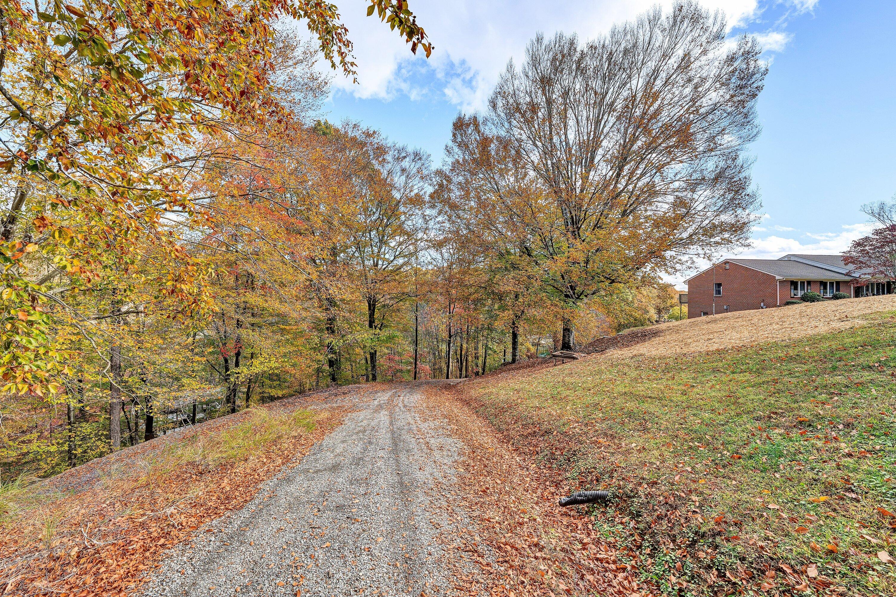 2228 Thomason Lane Goodview, VA 24095 - Photo 52 of 70 a view of dirt yard with a tree