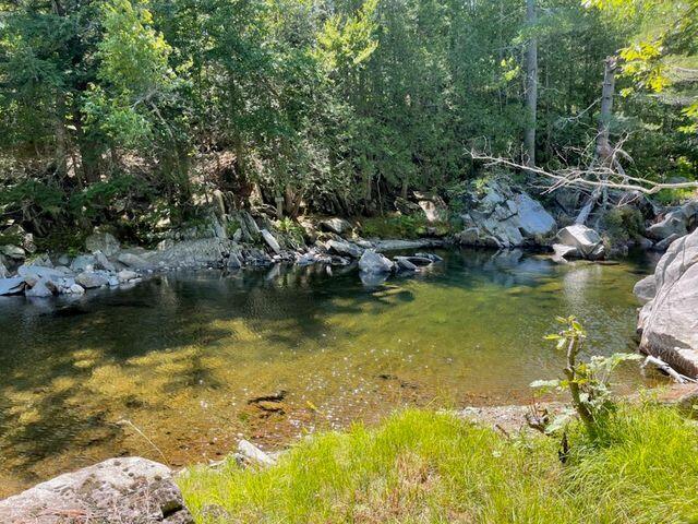 Lot 4 Moosely Ridge Road Phillips, ME 04966 - Photo 13 of 18 Mooseley Ridge Rd 8