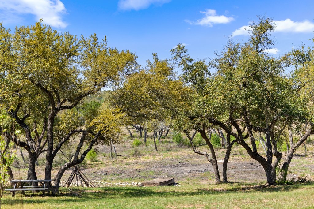 290 Sunset Ridge Dripping Springs, TX 78620 - Photo 10 of 36 Mature trees frame this verdant lot, offering abundant shade and natural beauty.