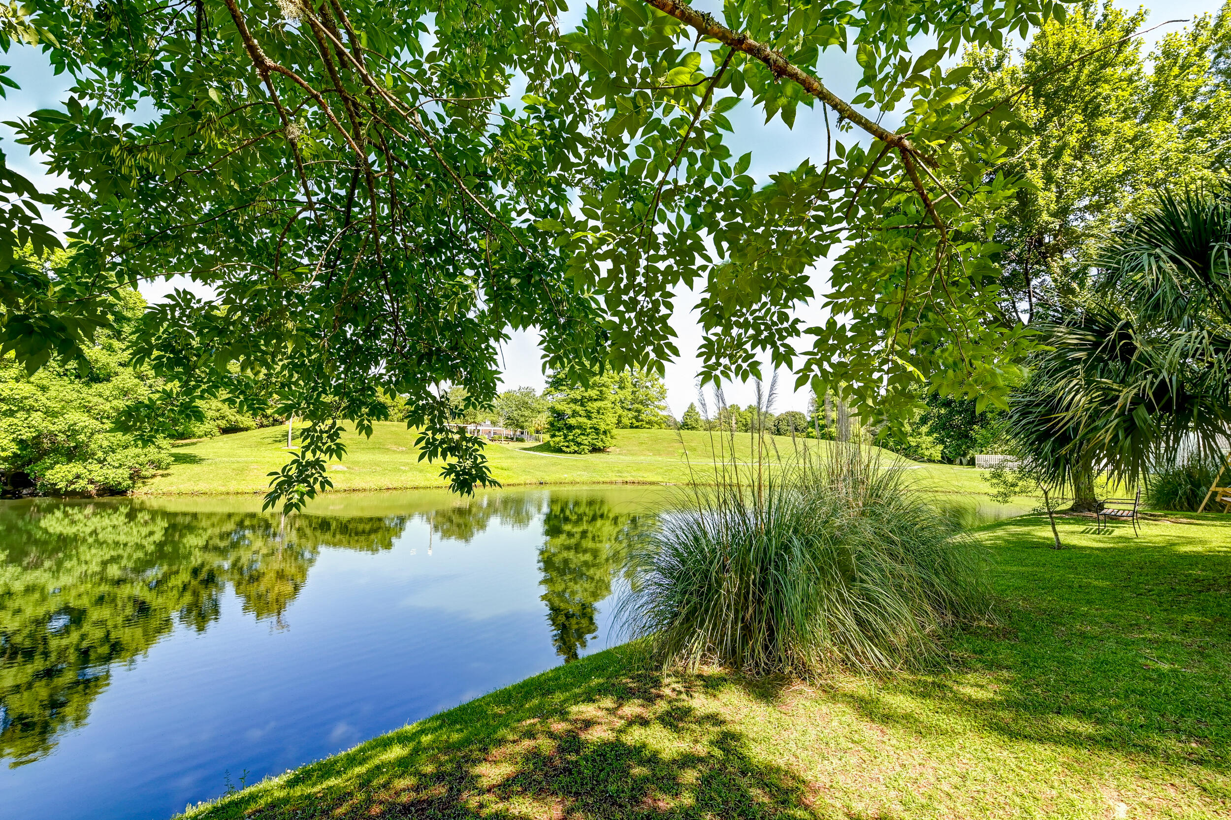7004 Windmill Creek Road Charleston, SC 29414 - Photo 12 of 59 DSC_3701_2_3_4_5