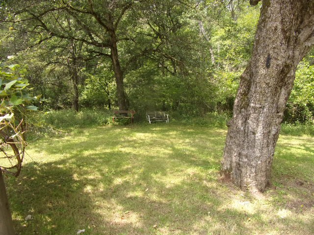 249 Van Road Cranberry, PA 16319 - Photo 8 of 46 a backyard of a house with lots of green space
