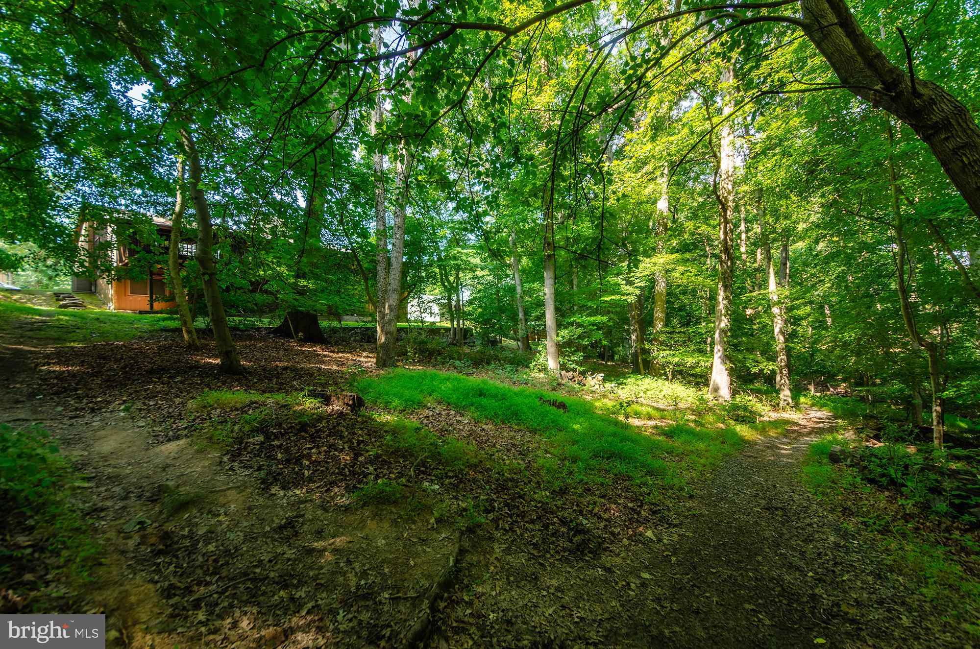 1430 Wolftrap Run Road Vienna, VA 22182 - Photo 49 of 51 Gallery Image 49