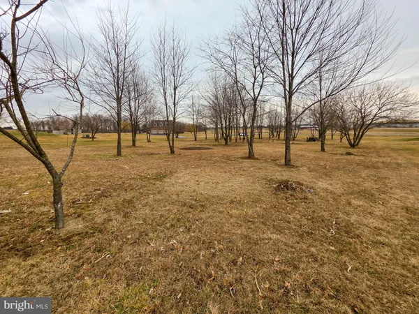 a view of open space with trees