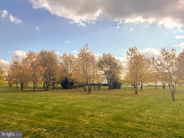 a view of a big yard with an trees
