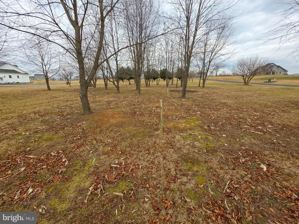 a view of open space with trees