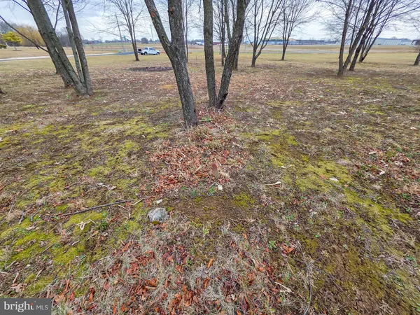 a view of dirt yard with a trees