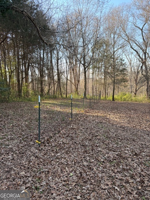 2693 Dempsey Brown Road Dewy Rose, GA 30634 - Photo 13 of 28 a backyard of a house with lots of green space