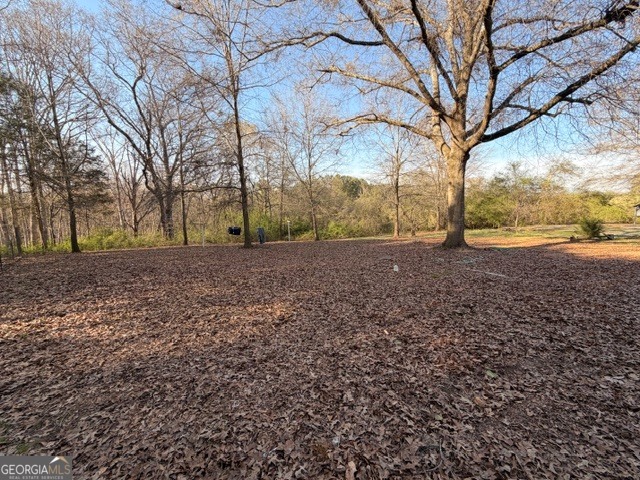 2693 Dempsey Brown Road Dewy Rose, GA 30634 - Photo 14 of 28 a view of a yard with a tree