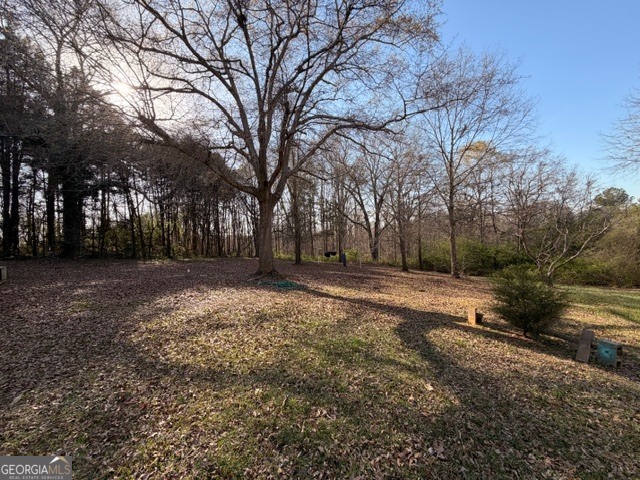 2693 Dempsey Brown Road Dewy Rose, GA 30634 - Photo 6 of 28 a view of outdoor space with large trees