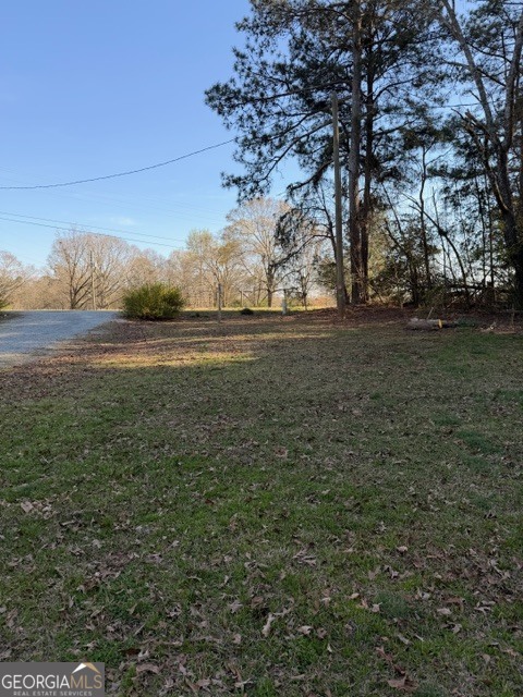 2693 Dempsey Brown Road Dewy Rose, GA 30634 - Photo 10 of 28 a view of big yard with large trees