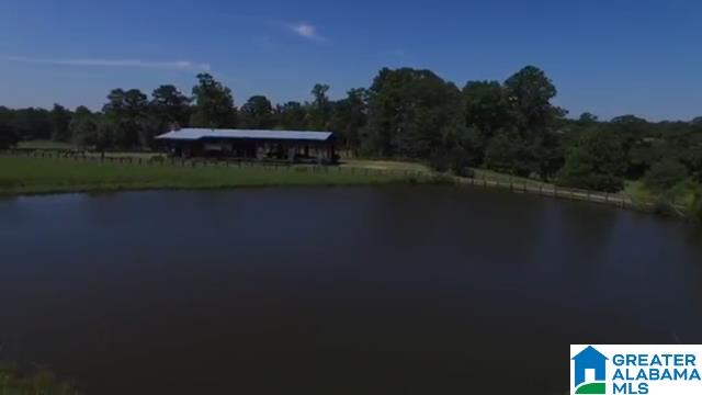 1854 Claud Fleahop Road, Unit 129 4 Eclectic, AL 36024 - Photo 23 of 50
