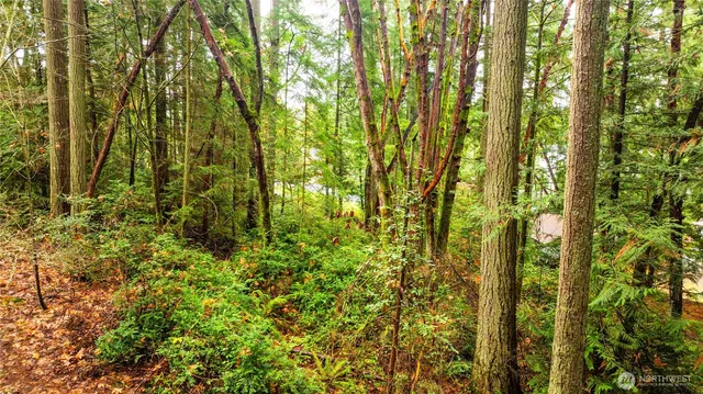 a view of a yard with plants