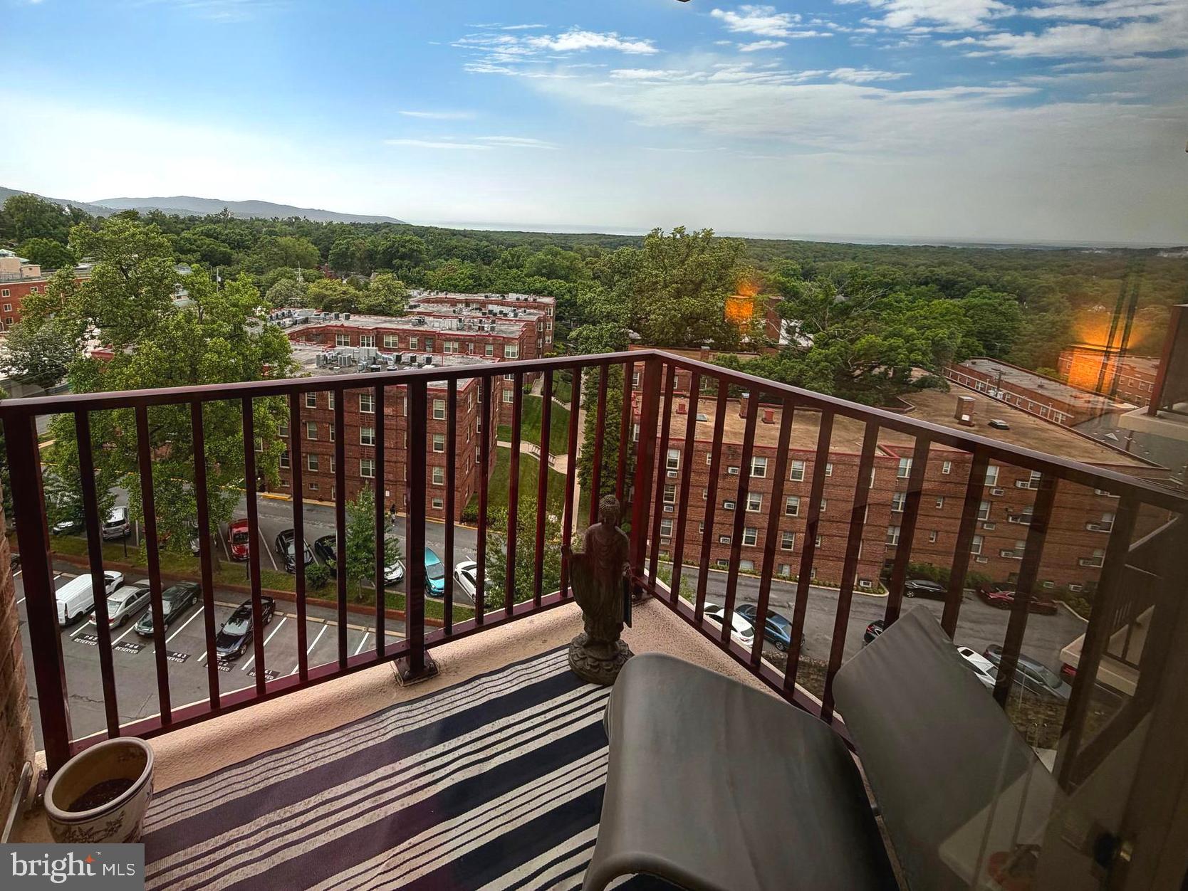 1220 Blair Mill Road, Unit 905 Silver Spring, MD 20910 - Photo 10 of 30 Private balcony off Primary Bedroom