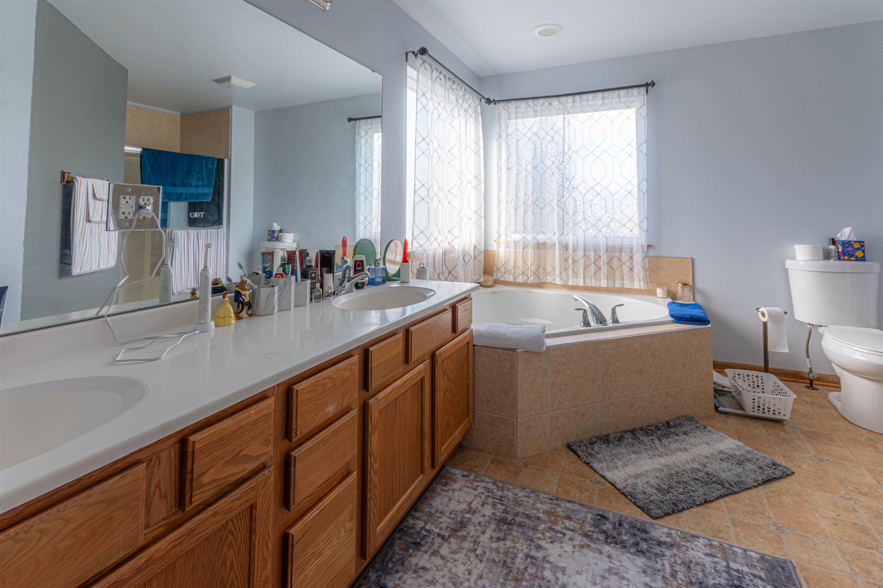 738 Trent Lane Loves Park, IL 61111 - Photo 28 of 37 a bathroom with a tub sink and mirror