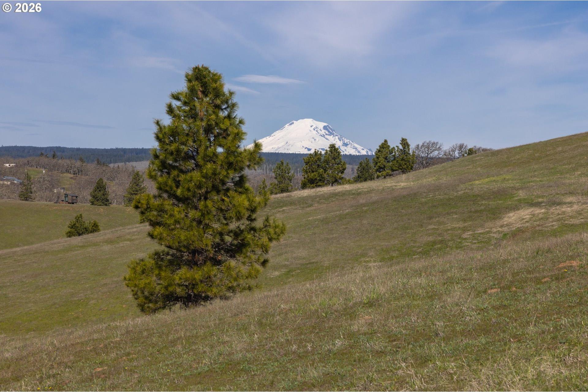 60 Hartwig Road Lyle, WA 98635 - Photo 8 of 44 Gallery Image 8