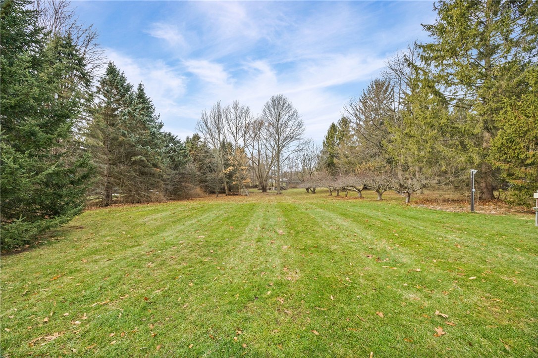 1747 Attridge Road Riga, NY 14428 - Photo 46 of 49