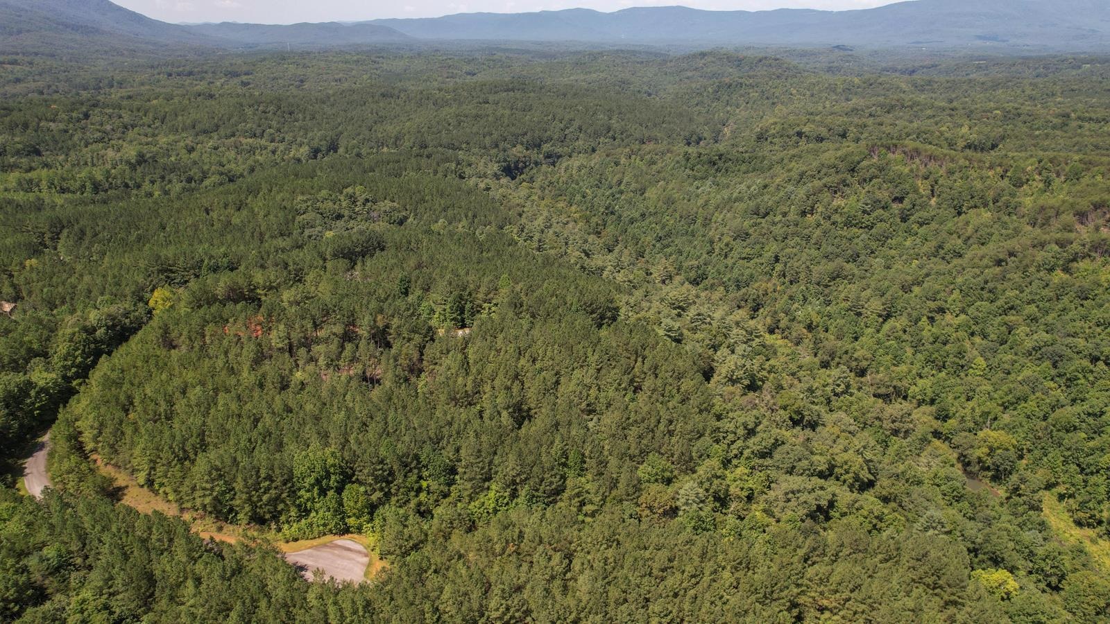 0 Contuck Ln Mill Spring Mill Spring, NC 28756 - Photo 24 of 37 Gallery Image 24