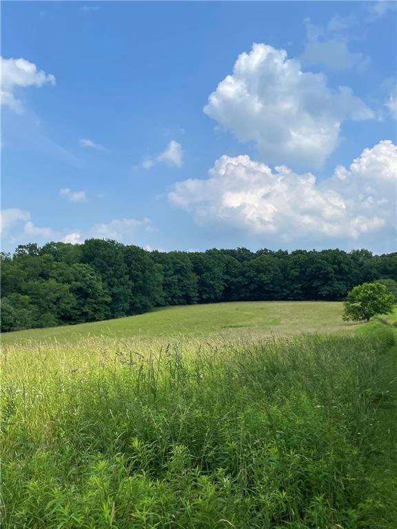 Lot 105 Myoma Road Mars, PA 16046 - Photo 1 of 12 Gallery Image 1