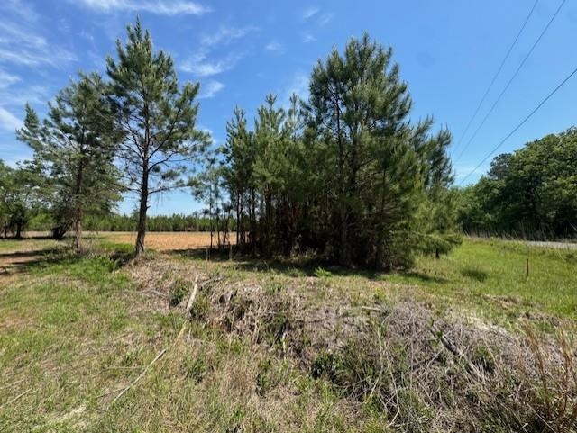 1371 Justice Loop Loris, SC 29569 - Photo 2 of 3