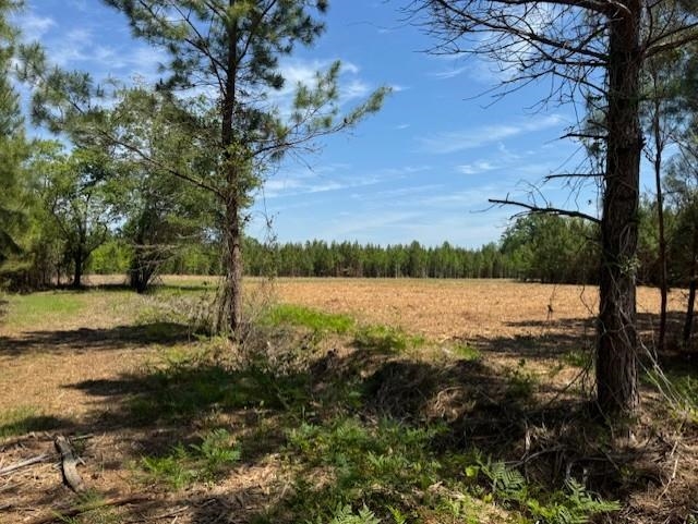 1371 Justice Loop Loris, SC 29569 - Photo 3 of 3