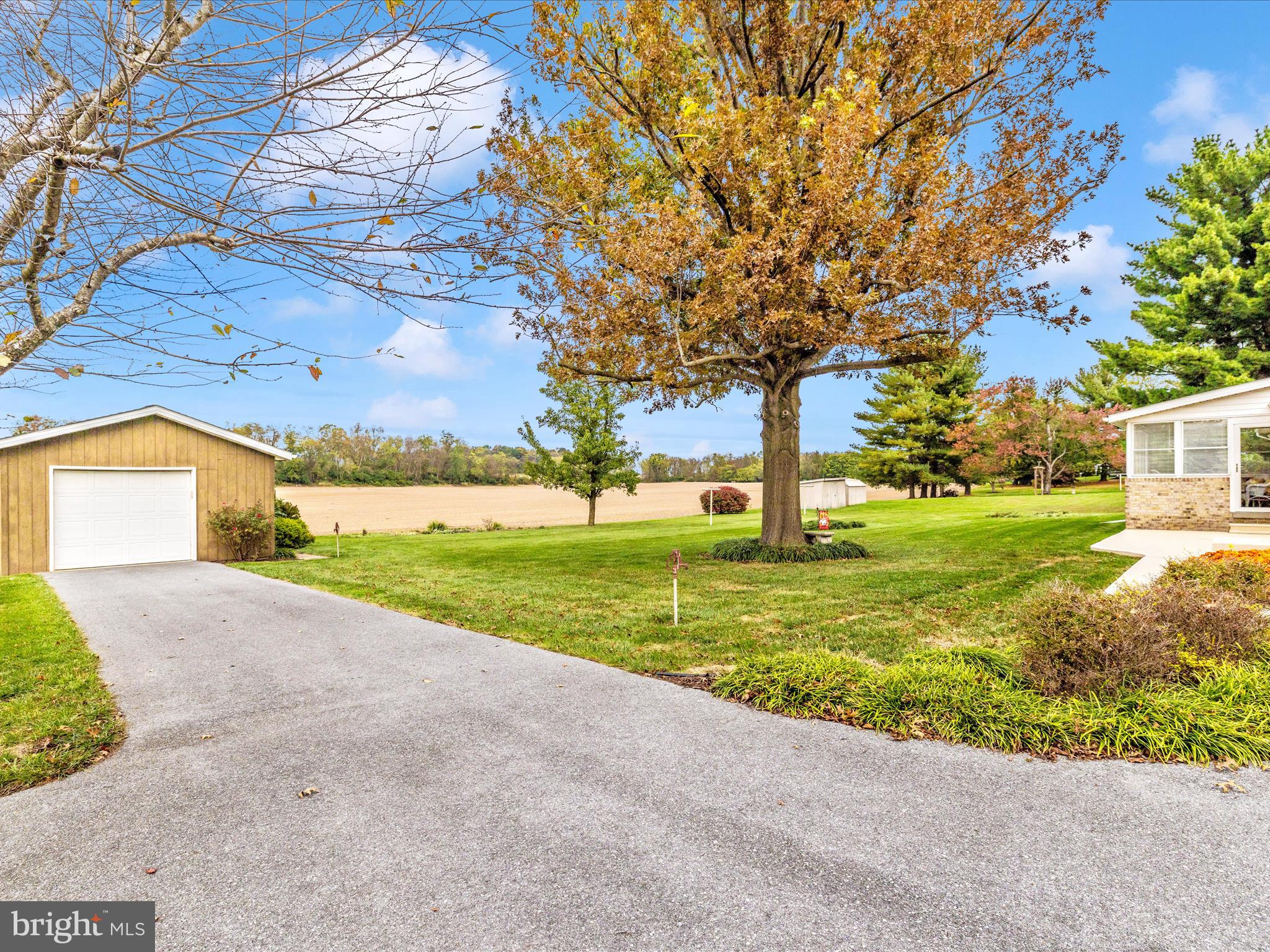 12720 Spickler Road Clear Spring, MD 21722 - Photo 50 of 57 a view of a yard with plants and a large tree