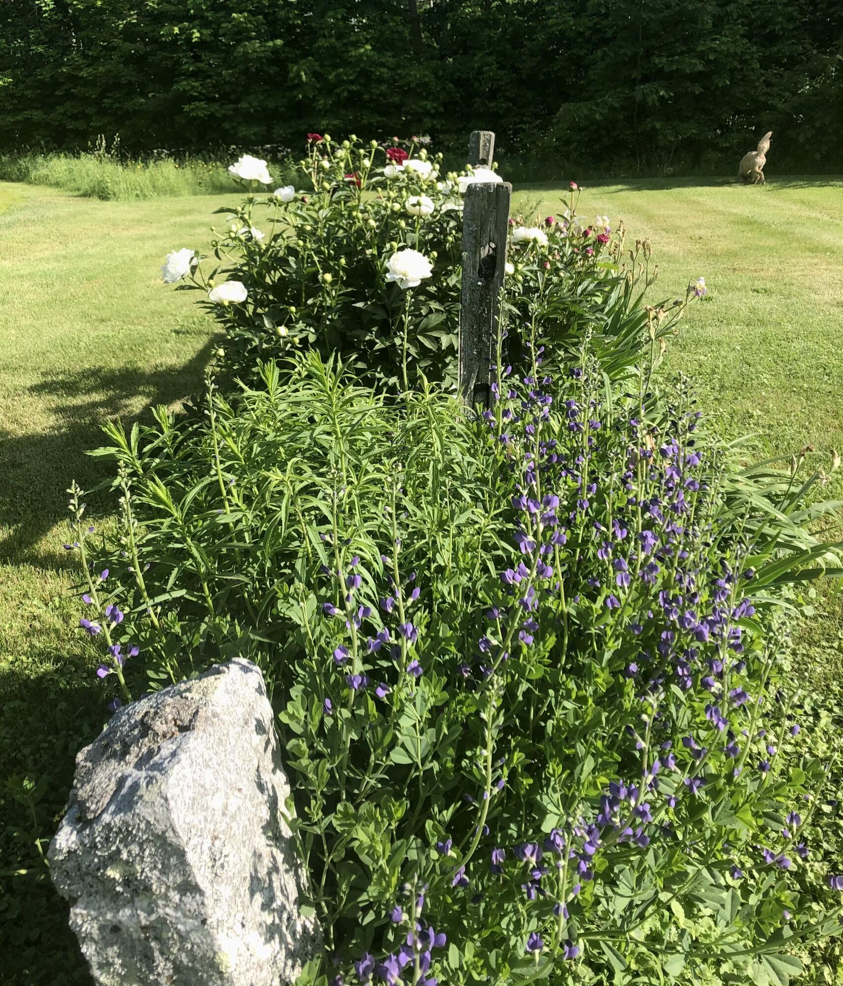 120 Waldoboro Road Jefferson, ME 04348 - Photo 46 of 54 IMG_1925