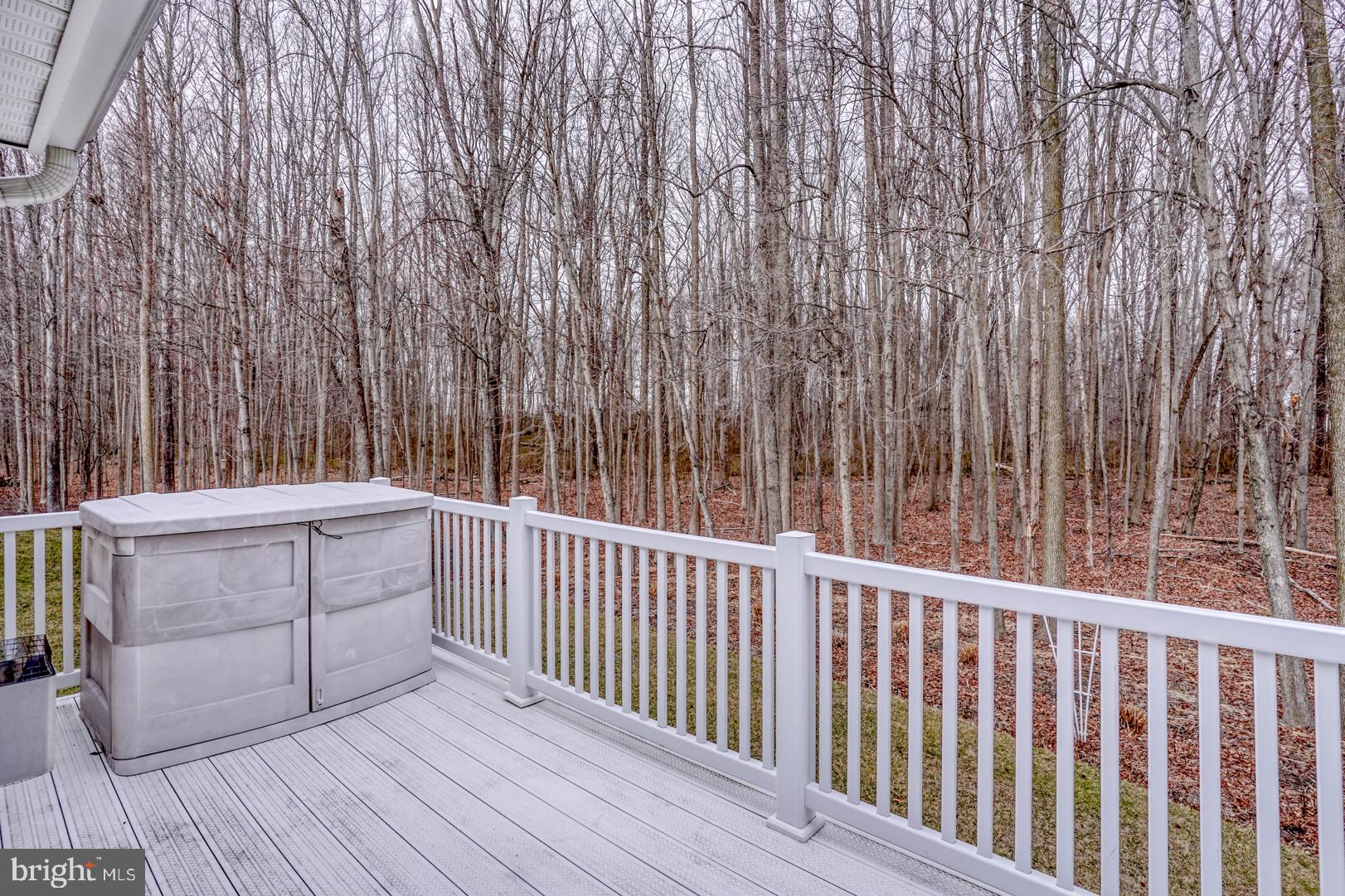 78 Springmill Drive Middletown, DE 19709 - Photo 4 of 60