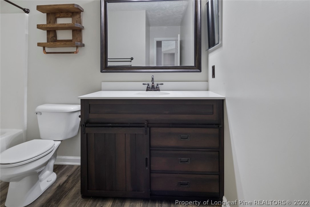 8209 Rockfish Road Raeford, NC 28376 - Photo 20 of 42 a bathroom with a sink a toilet and mirror