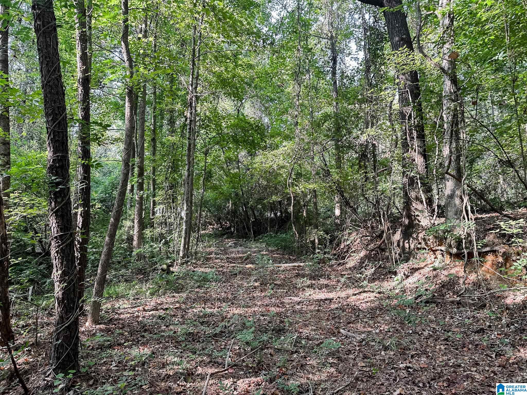 671 Buddy Vines Camp Road Bessemer, AL 35023 - Photo 22 of 24 Gallery Image 22