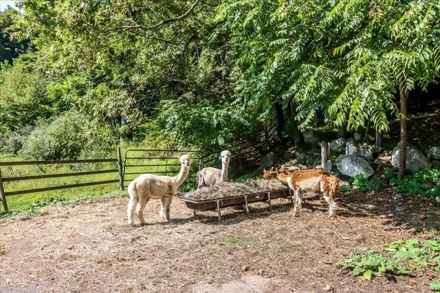 $3,300 | 155 Squash Hollow Road, New Milford, CT 06776