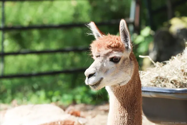 $3,300 | 155 Squash Hollow Road, New Milford, CT 06776